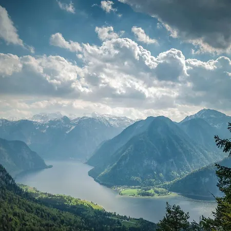 Metzgerwirt Vieh Heli Bad Goisern