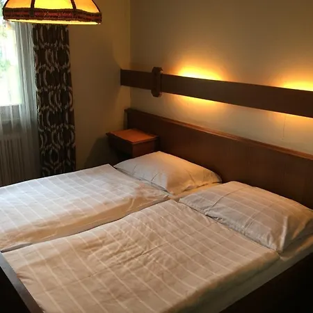 Mini-hôtel Metzgerwirt Vieh Heli Bad Goisern