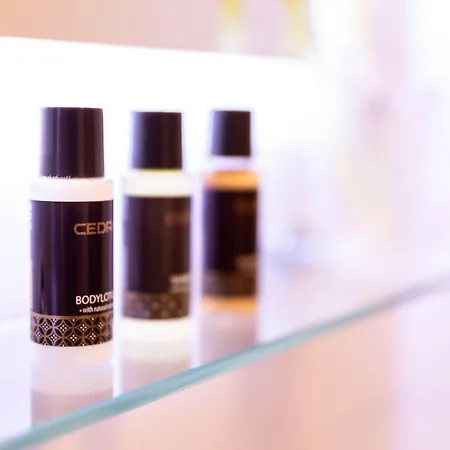 메츠게르비르트 피 헬리 여관 바드고이세른