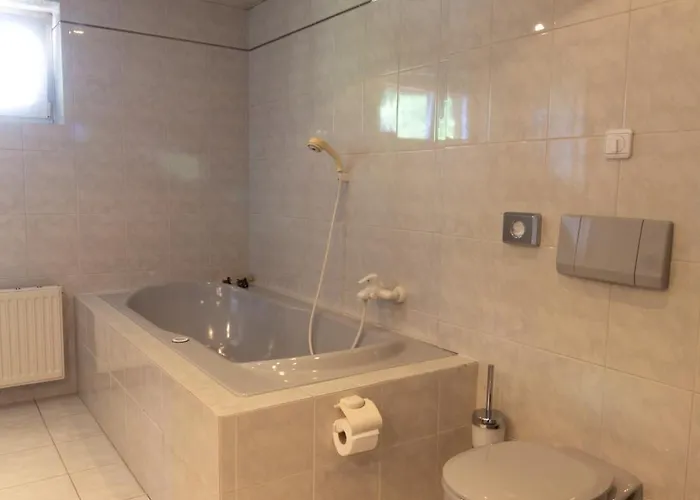 Han/Misafirhane Metzgerwirt Vieh Heli 3*