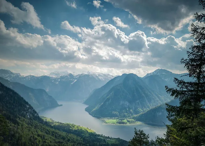 Metzgerwirt Vieh Heli Bad Goisern