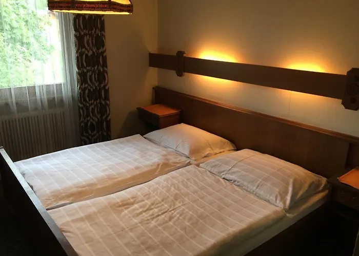 Han/Misafirhane Metzgerwirt Vieh Heli Bad Goisern