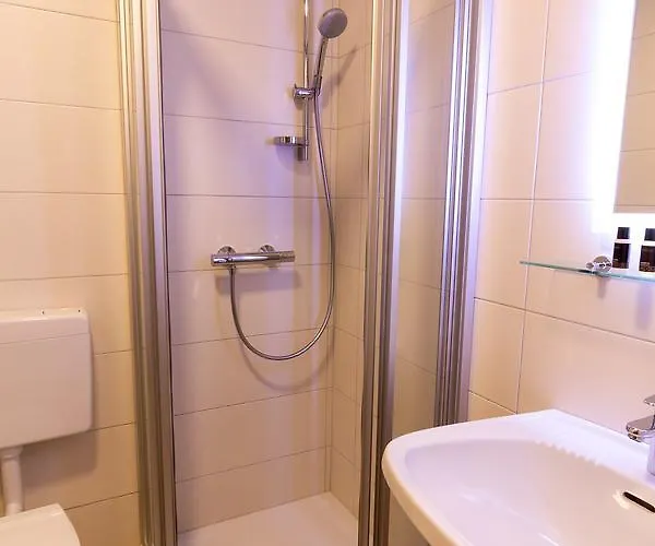 Penzion Metzgerwirt Vieh Heli Bad Goisern