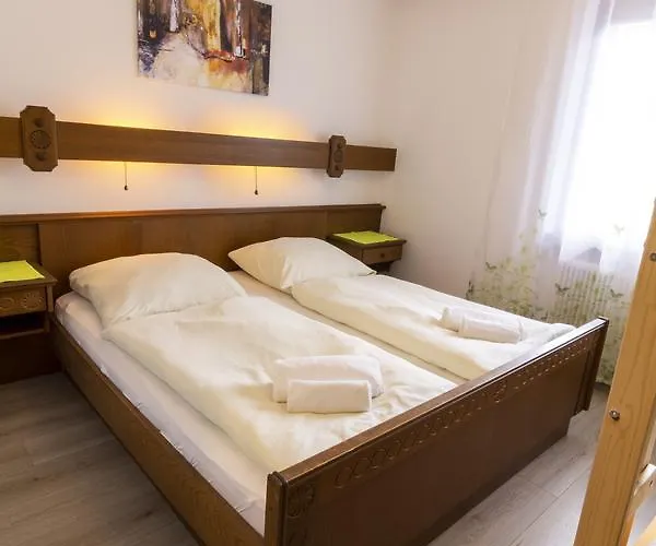 Penzion Metzgerwirt Vieh Heli Bad Goisern